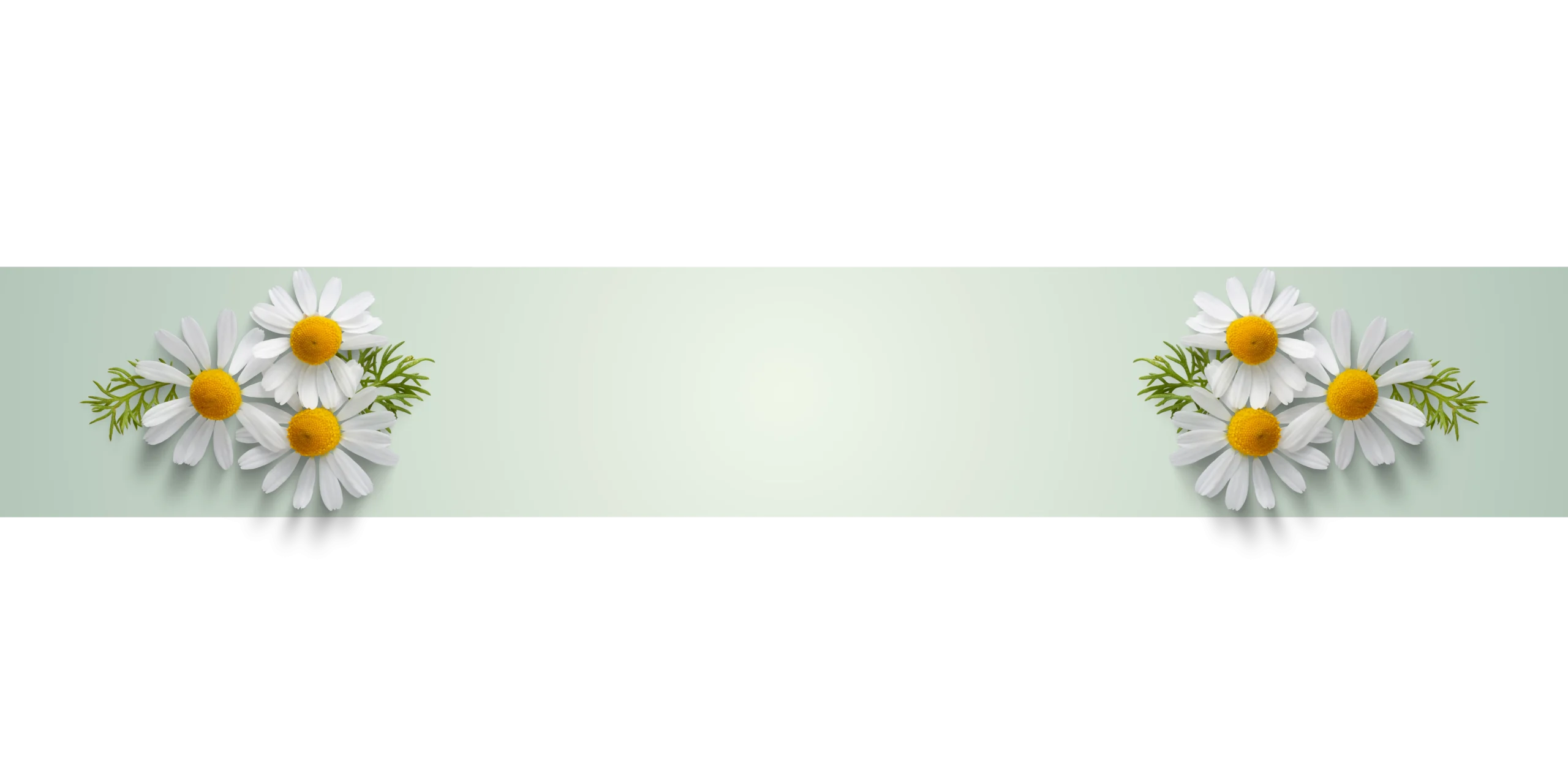 banner 3 1 scaled